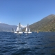 IMG_1037.jpg