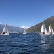 IMG_1038.jpg