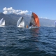 IMG_1064.jpg