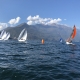 IMG_1065.jpg