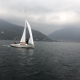 IMG_1145.jpg