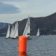 IMG_2575.jpg
