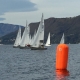 IMG_2576.jpg