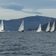 IMG_2579.jpg