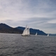 WP_20171029_09_09_40_Pro.jpg