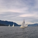 WP_20171029_09_10_03_Pro.jpg